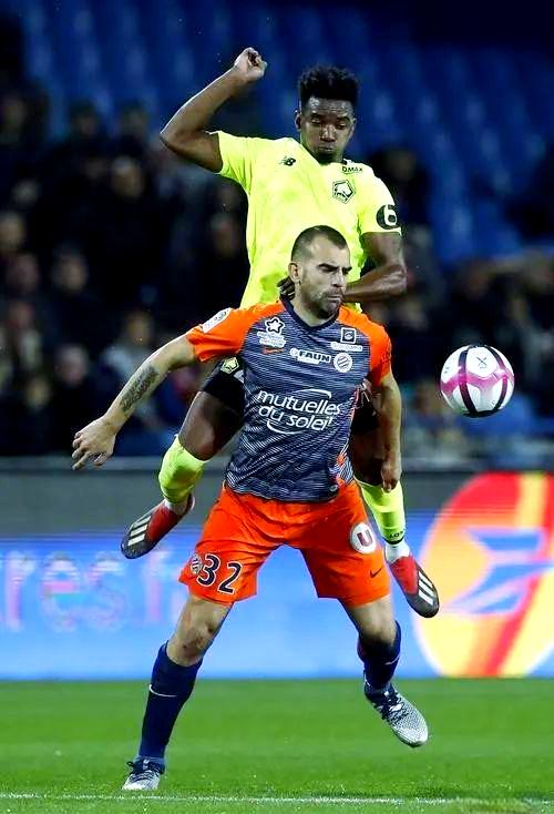 转会期法国杯焦点战，多伦多猛龙绝杀压哨，震撼外界，球探报告显示潜力的简单介绍金年会体育